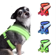GlowPaws LED Dog Harness product photo 10 at Petcous