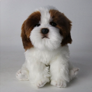 Soft Plush Dog Stuffed Toy product photo 7 at Petcous