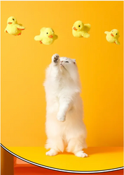 Automatic Moving Duck Cat Toy product photo 3 at Petcous
