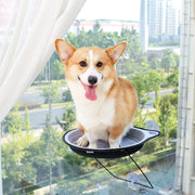 Cat Suction Cup Window Bed - Round Hammock for Cats