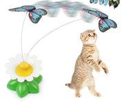 Electric Butterfly and Bird Cat Toy product photo 2 at Petcous
