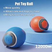 Speedy Tail USB Rechargeable Interactive Cat Ball product photo 5 at Petcous