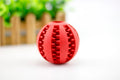 Watermelon Dog Chew Ball