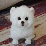 Soft Plush Dog Stuffed Toy product photo 8 at Petcous