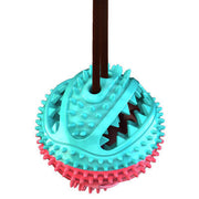 Dog Treat Dispensing Rubber Ball product photo 12 at Petcous