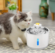 LED Cat Water Fountain product photo 10 at Petcous