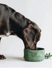 Foldable Dog Travel Bowl product image for dogs at Petcous