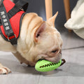 Dog Treat Dispensing Rubber Ball