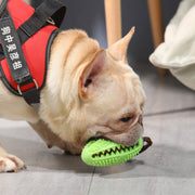 Dog Treat Dispensing Rubber Ball product photo 3 at Petcous