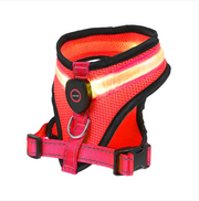 GlowPaws LED Dog Harness product photo 4 at Petcous