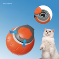Speedy Tail USB Rechargeable Interactive Cat Ball