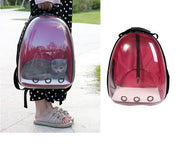 Transparent Cat Backpack and Carrier for Pets