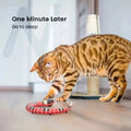 USB Charging Interactive Snake Toy for Cats - Endless Fun