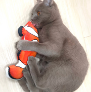 Electric Dancing Fish Cat Toy product photo 4 at Petcous