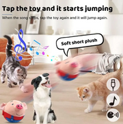 Interactive Squeaky Plush Dog Toy product photo 5 at Petcous