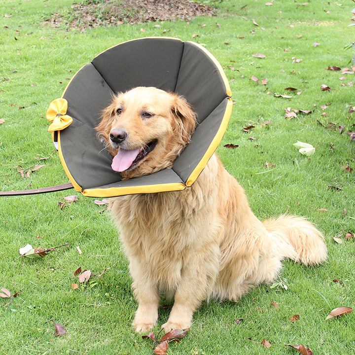 Dog Recovery Care Collar for Sick Pets