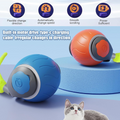 Speedy Tail USB Rechargeable Interactive Cat Ball