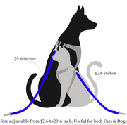 Adjustable Pet Car Seat Belt 2-Pack product photo 12 at Petcous