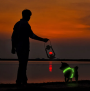 GlowPaws LED Dog Harness product photo 7 at Petcous