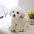 Soft Plush Dog Stuffed Toy