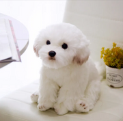 Soft Plush Dog Stuffed Toy product photo 4 at Petcous
