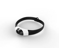 Rechargeable LED Cat Collar Toy