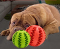 Dog Chew Stick and Ball Toy Set