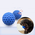 Pet Molar Chew Ball Toy