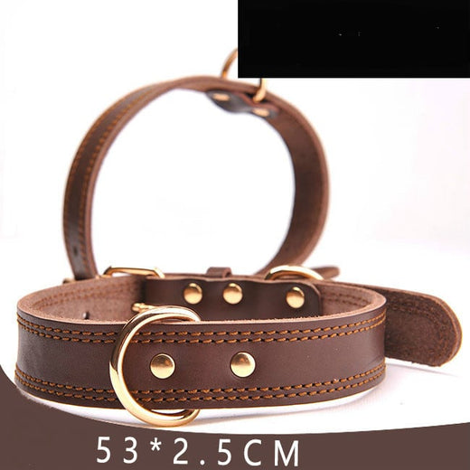 Adjustable Leather Dog Collar product image for dogs at PetcoUS