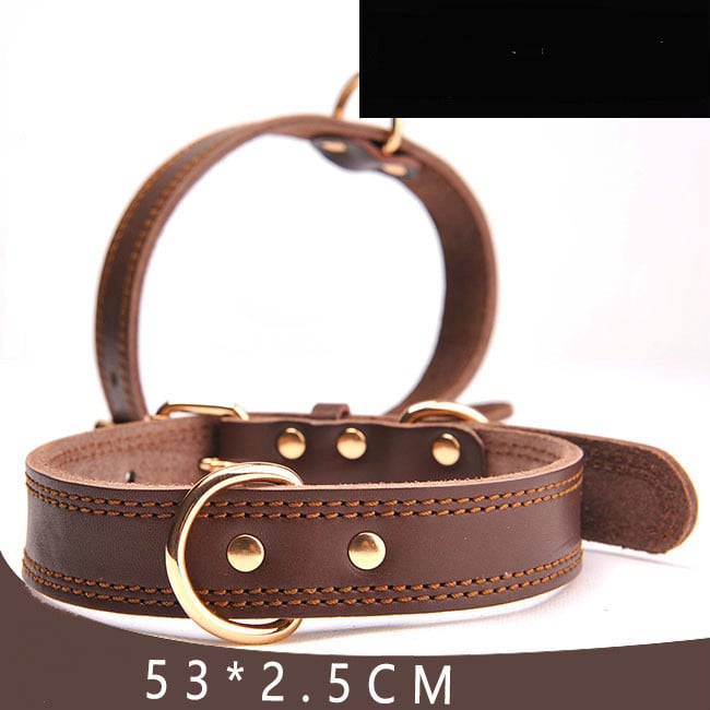 Adjustable Leather Dog Collar product image for dogs at Petcous