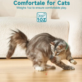 Rechargeable LED Cat Collar Toy